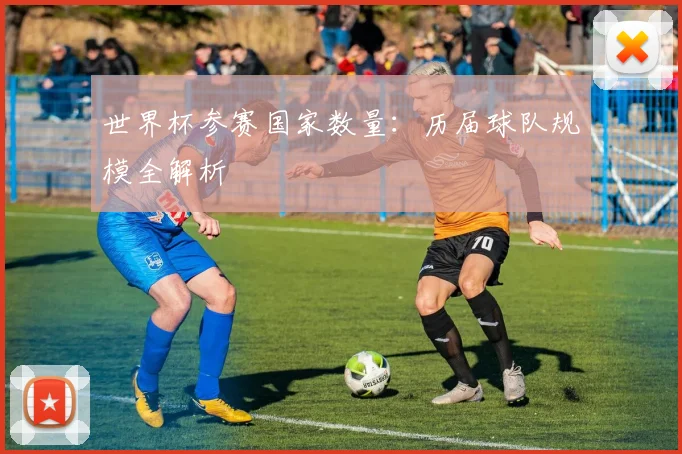 世界杯参赛国家数量：历届球队规模全解析