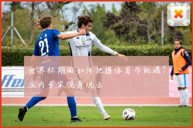 世界杯期间如何把握体育币机遇？业内专家现身说法