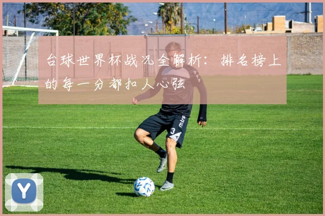 台球世界杯战况全解析：排名榜上的每一分都扣人心弦