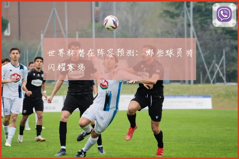 世界杯潜在阵容预测:哪些球员将闪耀赛场