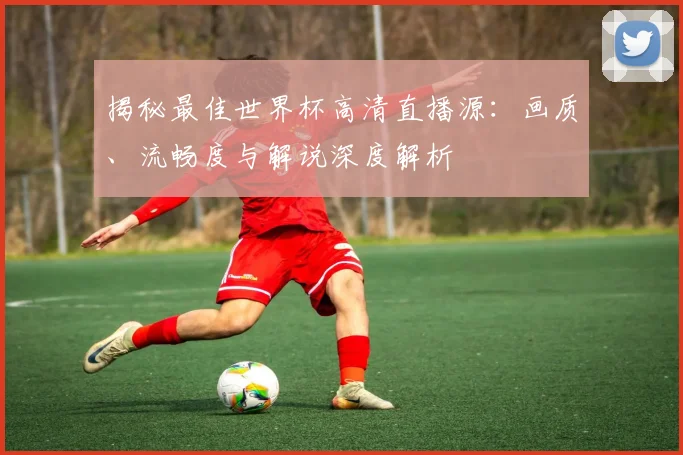 揭秘最佳世界杯高清直播源：画质、流畅度与解说深度解析