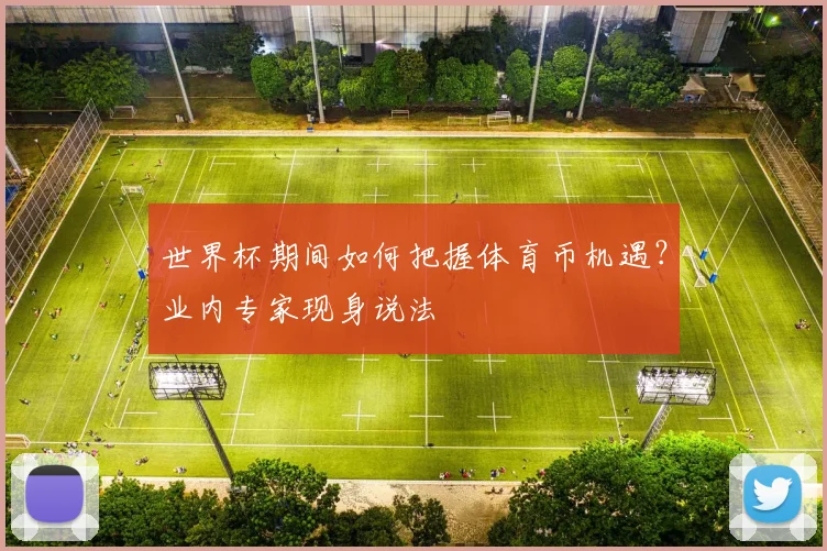 世界杯期间如何把握体育币机遇？业内专家现身说法