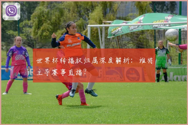 世界杯转播权归属深度解析：谁将主导赛事直播？